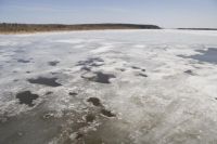 Трое малолетних детей гуляли прямо по льду реки без присмотра родителей.