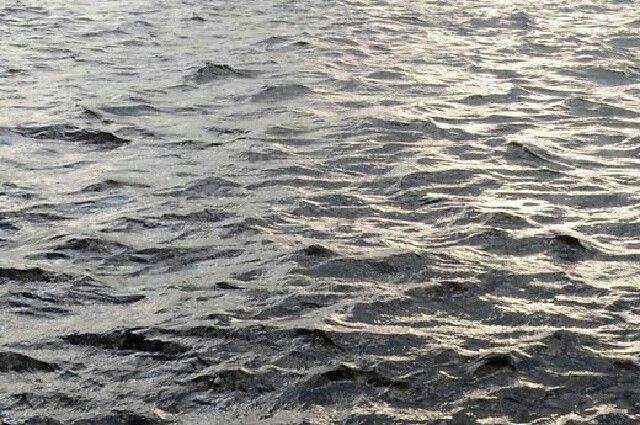 Новосибирское водохранилище размывает берега.