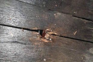 На Закарпатье во дворе частного дома предпринимателя прогремел взрыв