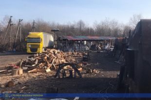 СБУ разоблачила незаконную продажу леса на 14 миллионов гривен