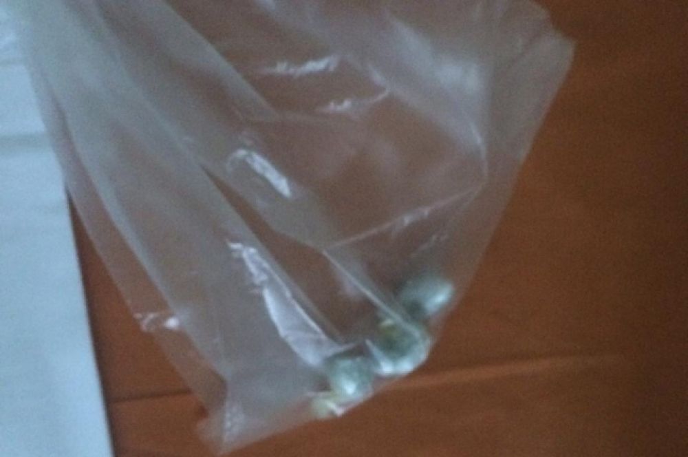 Эти наркотики в середине октября 2019 года пыталась пронести в интимном месте жительница Прикамья, которая прибыла в соликамскую колонию №1 на длительное свидание с заключённым. Чтобы их извлечь, пришлось везти девушку к врачам в местную больницу.