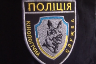В Донецкой области бабушка пошла с внуками в лес и заблудилась