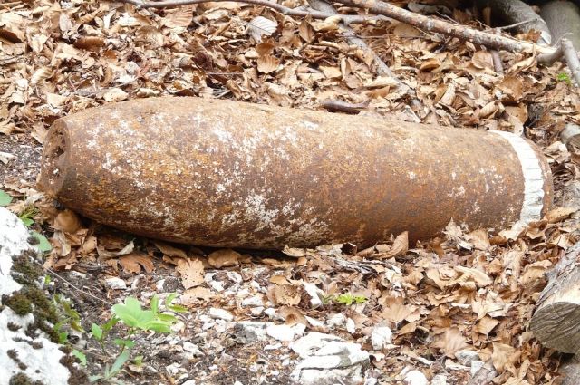 В Чкаловском лесничестве нашли ещё 5 снарядов времён войны