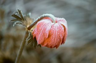 Из-за сильных сложных отложений возможны обрывы линий электропередач, аварии на системах ЖКХ, заторы на дорогах