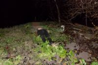 В Закарпатской области женщина топором убила своего мужа