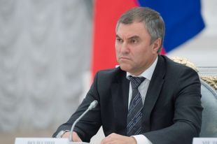 Венгрия обратилась к РФ с просьбой о защите языковых меньшинств в Украине