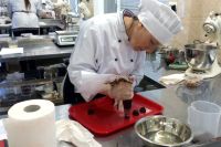Профессия повара даёт стопроцентную гарантию на трудоустройство.