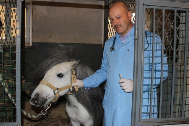 Ветеринарный врач ростовской городской станции по борьбе с болезнями животных Сергей Медяковский