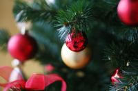 Елочные базары будут расположены в разных районах Новосибирска, так что горожане смогут купить новогоднее дерево в удобном для себя месте.