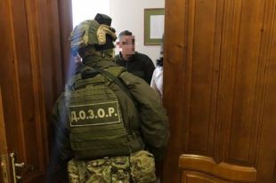 Во Львовской области разоблачили схему незаконной вырубки леса: детали