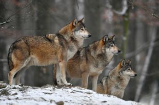 8 декабря: праздники, день ангела, поверья, что сегодня нужно сделать