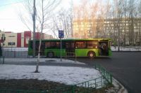 Тюменца сбил автобус из-за резко сменившегося сигнала светофора