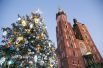 Рождественская елка рядом с церковью Святой Марии в Кракове, Польша.