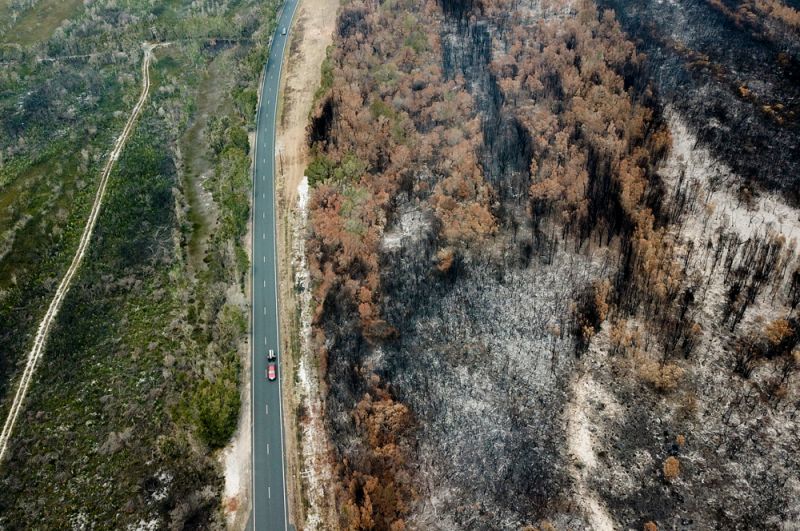 Последствия лесного пожара возле Порт-Маккуори, Новый Южный Уэльс. Аэрофотоснимок.