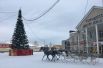 В Мысках ёлку купили на деньги городской казны (679 тыс. руб.) в 2014 г., с тех пор она украшает площадь каждую зиму. Высота ели 15 метров.