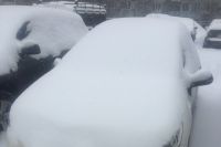Сотрудники Росгвардии помогли сибирячке откопать застрявший в снегу автомобиль.