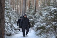 В предновогодний период усилен контроль в тюменских лесах