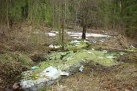 Жидкость, которая выделяется при гниении мусора на свалке, течёт по склонам вниз к лесным ручьям.