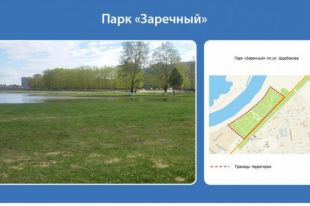 На благоустройство тюменского парка Заречный ищут подрядчика