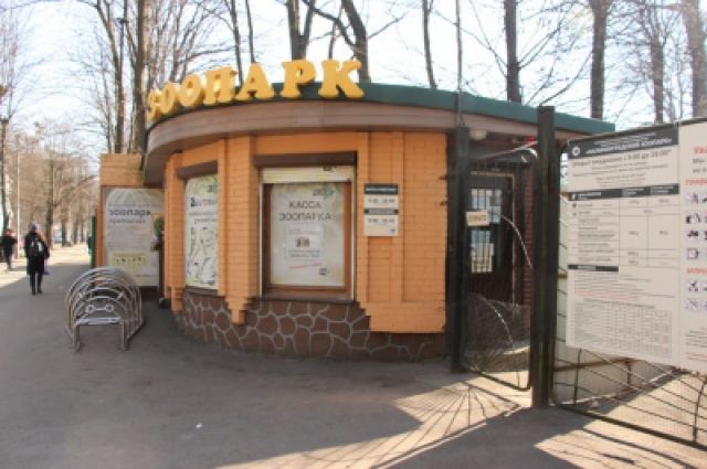 Калининградский зоопарк опубликовал график работы в новогодние каникулы
