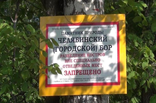 Многие жители Челябинска болезненно отнеслись к идее вырубить участок городского бора.