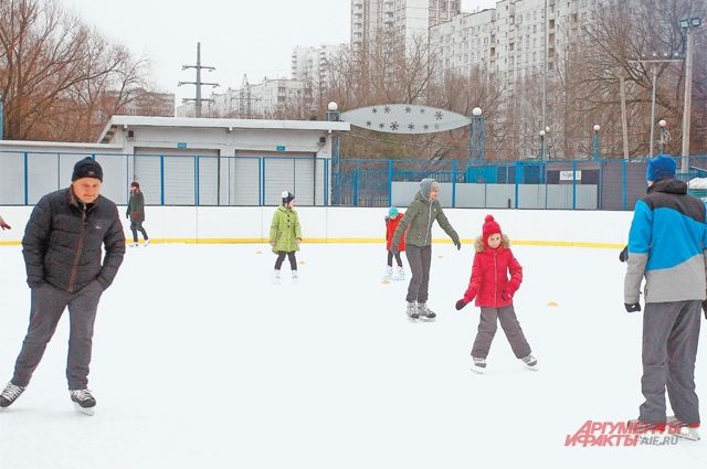 Парк фили каток