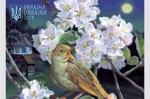 Украинские марки признали лучшими в Европе