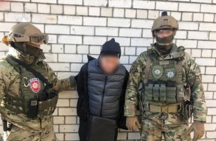 Организатор убийства Амины Окуевой задержан, - глава Нацполиции