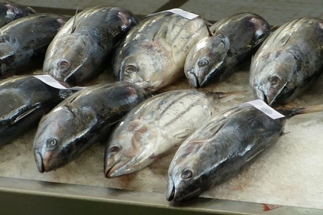 В порту Калининграда задержали более 27 тонн тунца из Эквадора