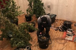 В Днепре пресекли масштабную контрабанду психотропных веществ из ЕС