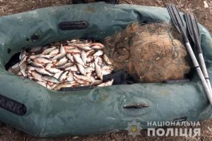 Браконьеры с начала года выловили рыбы на полмиллиона гривен