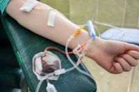 Кровь может понадобиться в том числе для пострадавших в массовом ДТП.