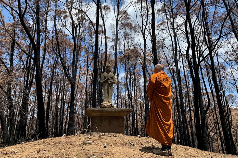 Настоятель монастыря Суннатарам совершает молитву на фоне сгоревшего леса около города Бунданун.
