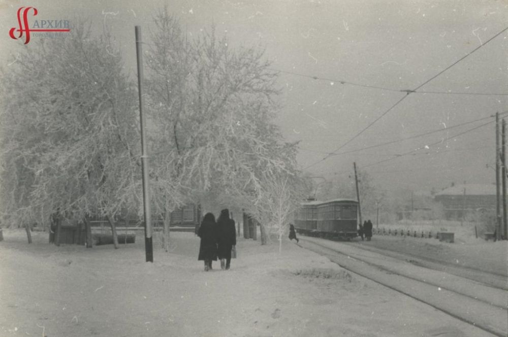 Разгуляйский сквер, деревья в инее, 22 января 1961 г.