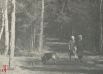Прогулка в тенистых аллеях Балатовского парка, 9 апреля 1967 г.