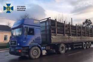 На Черкасчине экс-чиновника приговорили к пяти годам за хищение древесины