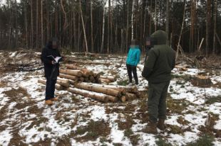 В Житомирской области ГБР обыскивает лесничества