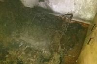 В Житомирской области произошел пожар в жилом доме: есть жертва
