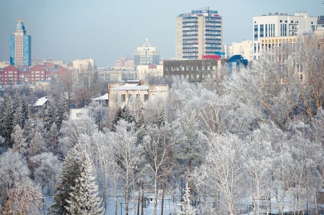 Новосибирская область в рейтинге поднялась на две строчки вверх – с 24 до 22 места.