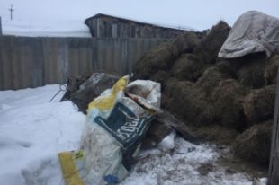 В Оренбуржье пенсионера насмерть завалило сеном.