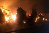 В Киевской области сгорел ангар деревообрабатывающего цеха: детали 