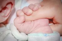 В 2019 году в Польше родились почти три тысячи граждан Украины
