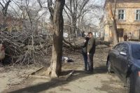 В центре Одессы дерево раздавило женщину