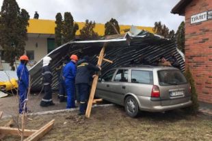 В Херсоне на ребенка упало дерево в связи с непогодой: детали