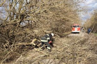 В Херсоне из-за непогоды на женщину упал карниз: подробности