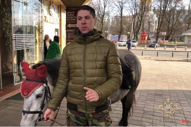 Калининградец на пони помог полиции задержать грабителя