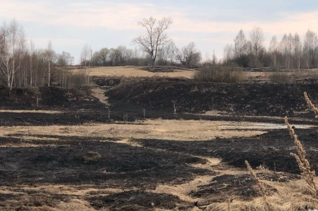 В Калининградской области в выходные трижды тушили горящую траву