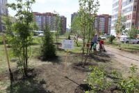 С 2017 года при грантовой поддержке компании было высажено более 11 000 деревьев в 17 городах России.