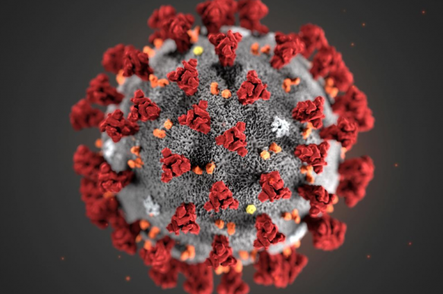 Уровень смертности от коронавируса в мире составляет 3,4%, - ВОЗ