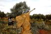 Сирийские боевики готовят артиллерийские орудия для удара в Идлибе.